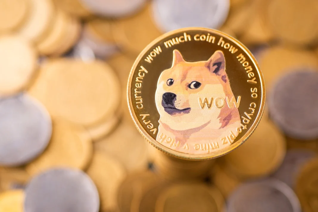 Bitcoin or Dogecoin? A Tale of Two Cryptos